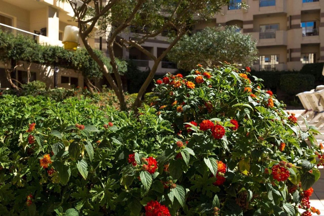 Florenza Khamsin - Sea View / Free Wi-fi *